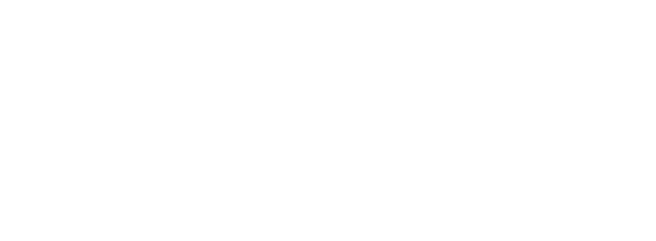 Camelot-CMYK-white