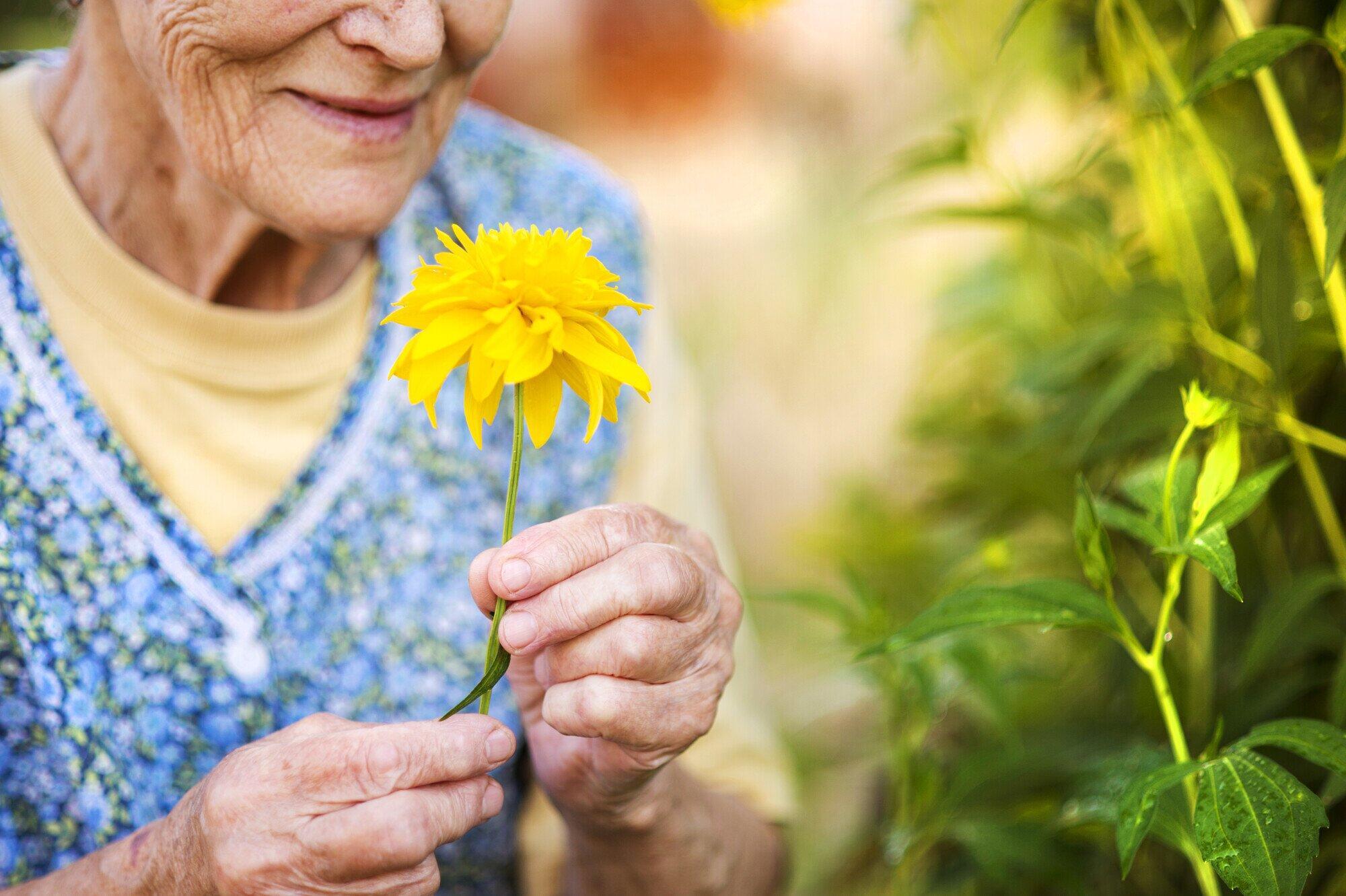 Hobbies for Women in Hemet, CA Independent Living