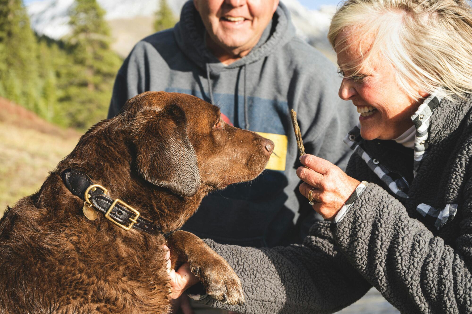 Pet Friendly Senior Living in Hemet: A Great Fit for Seniors